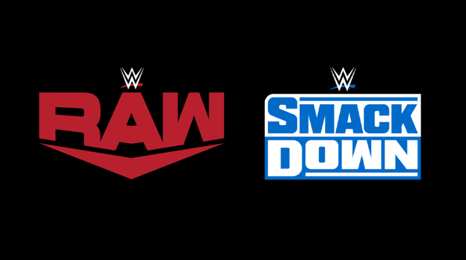 از سال 2002 و با تغییر نام کمپانی، 2 برند اصلی برای WWE شکل گرفت؛ برند RAW و برند SmackDown